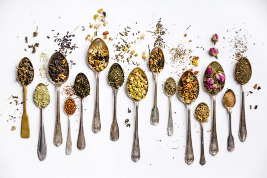 Herbs for Immunity: Part I