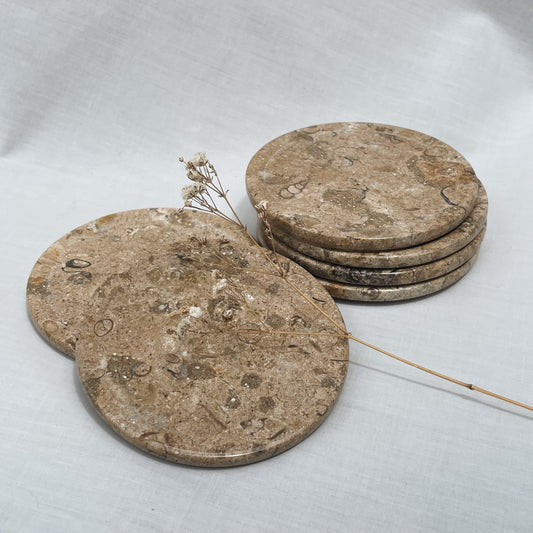 Brown Fossil Coasters (Set of 6 + Holder)