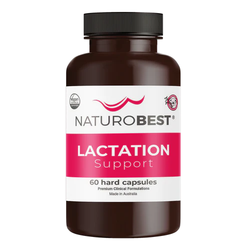 Lactation Support