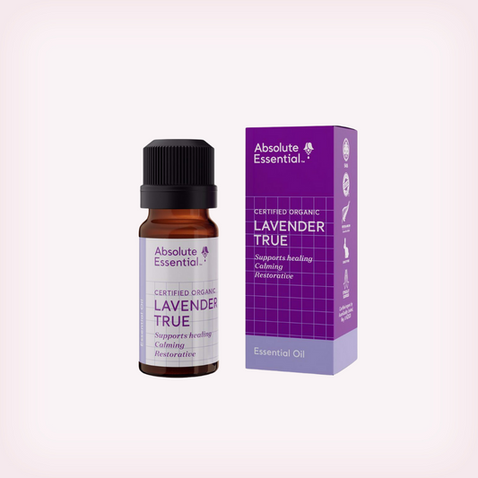Lavender True Organic Essential Oil