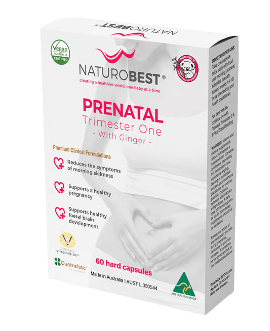 Prenatal Trimester One